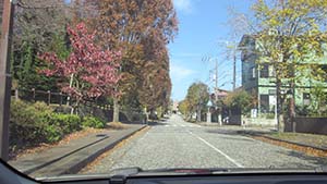 �N���b�N���Ċg��