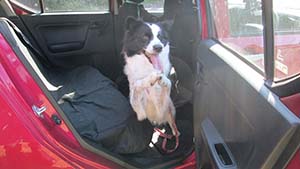 �N���b�N���Ċg��