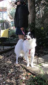 �N���b�N���Ċg��