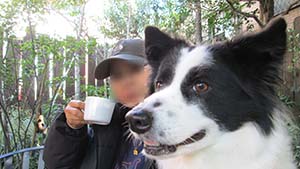 �N���b�N���Ċg��