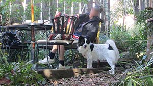 �N���b�N���Ċg��