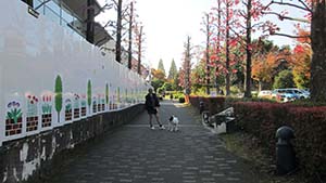 �N���b�N���Ċg��