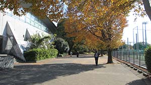 �N���b�N���Ċg��