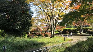 �N���b�N���Ċg��