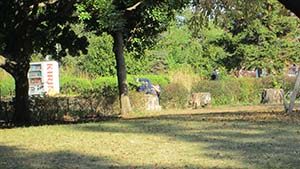 �N���b�N���Ċg��