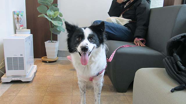 �N���b�N���Ċg��