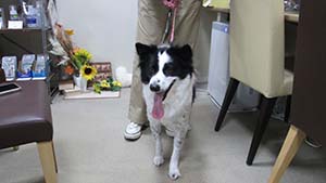 �N���b�N���Ċg��