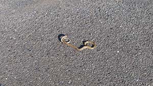 �N���b�N���Ċg��