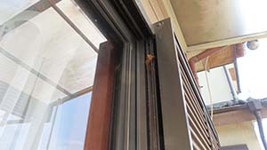 �N���b�N���Ċg��