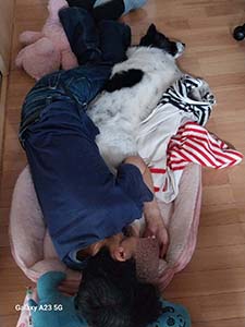 クリックして拡大