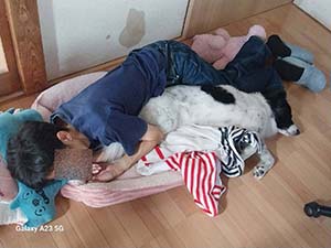 クリックして拡大