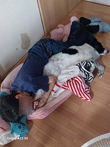 クリックして拡大