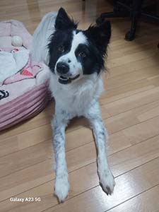 クリックして拡大