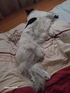 クリックして拡大