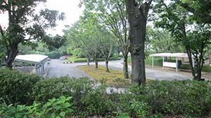 クリックして拡大