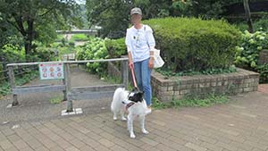 クリックして拡大