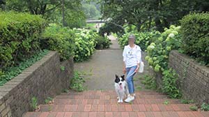 クリックして拡大