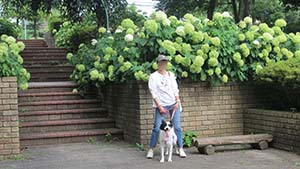 クリックして拡大