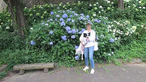 クリックして拡大