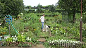 クリックして拡大