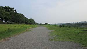 クリックして拡大