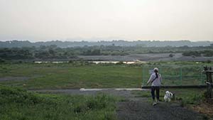 クリックして拡大