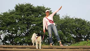 クリックして拡大