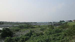 クリックして拡大