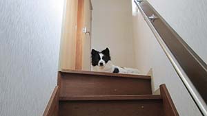 クリックして拡大