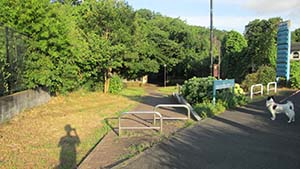 クリックして拡大