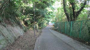 クリックして拡大