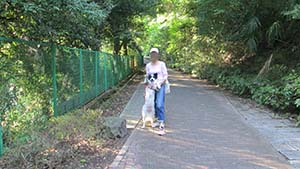 クリックして拡大