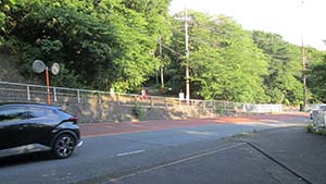 クリックして拡大