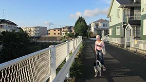 クリックして拡大