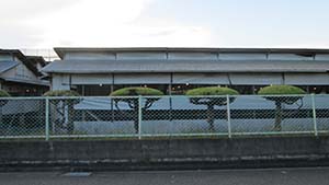 クリックして拡大