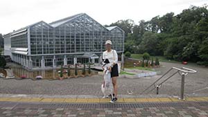 クリックして拡大