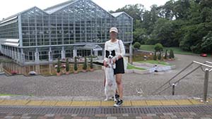 クリックして拡大