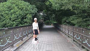 クリックして拡大