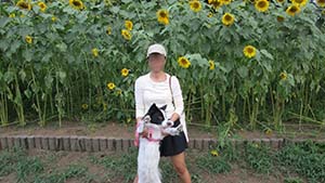 クリックして拡大