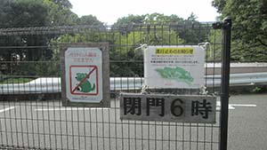 クリックして拡大