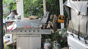 クリックして拡大