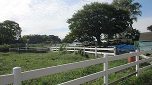 クリックして拡大