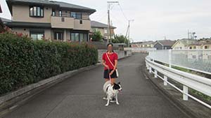 クリックして拡大