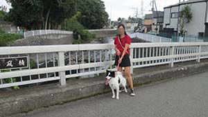 クリックして拡大