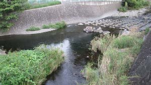 クリックして拡大