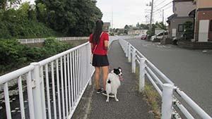 クリックして拡大