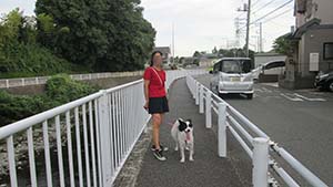 クリックして拡大