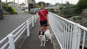 クリックして拡大