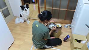 クリックして拡大