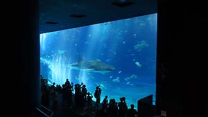 �N���b�N���Ċg��